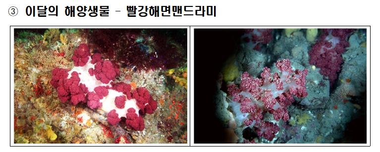 10월의 수산물에 꽃게·갈치…어촌휴양지엔 제부마을