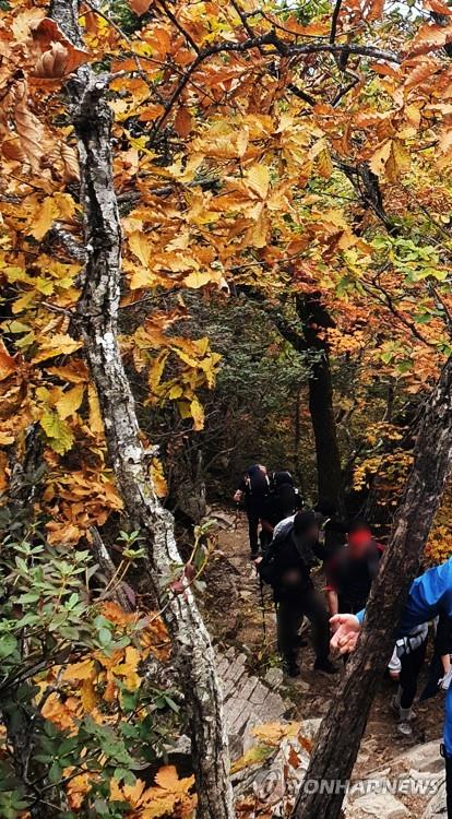 '가을에 취해 삐끗' 연휴 이틀 새 설악산서 등반객 사고 21건