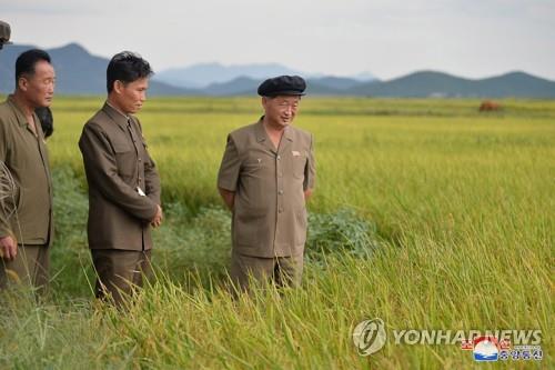 북 "쌀만 많으면 제재압박도 이겨내"…농촌 젊은층에 사상 독려