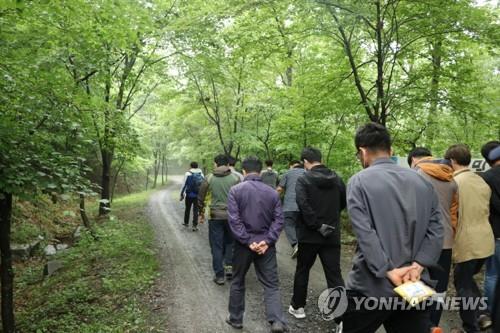 국립산림과학원 "걷기, 우울증·불안증세 완화에 효과"