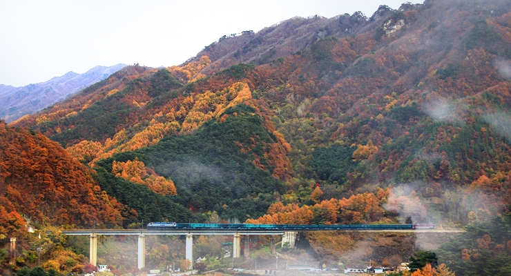 코레일, 이달 태백 지역축제 연계 관광열차 3회 운행