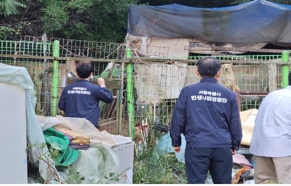 잔인한 동물학대범 잡는다…서울시 전문수사관 12명 투입