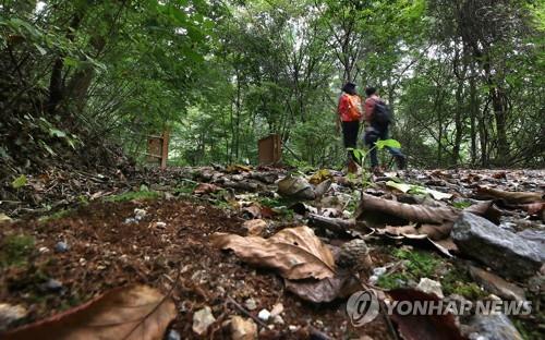 '광릉숲 축제' 개막…비공개 지역 4년 만에 개방