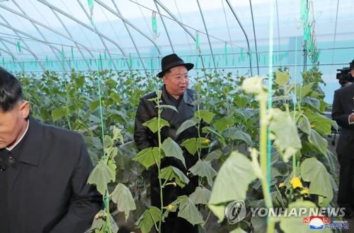 北매체 "연포온실농장, 어머니당이 안겨준 사랑의 선물"