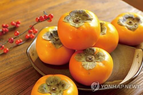 김해 특산물 진영 단감, 영남권 탑마트서 저렴하게 판매