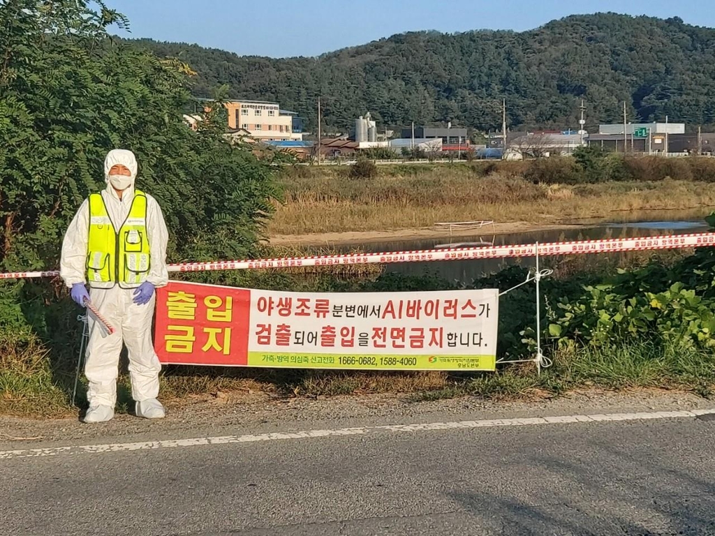 '철새도래지 고병원성 AI 검출' 천안시 긴급 방역 나서