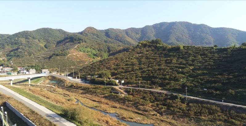 우리나라 유일 세계 1위 과일 단감, '창원단감로'로 알린다