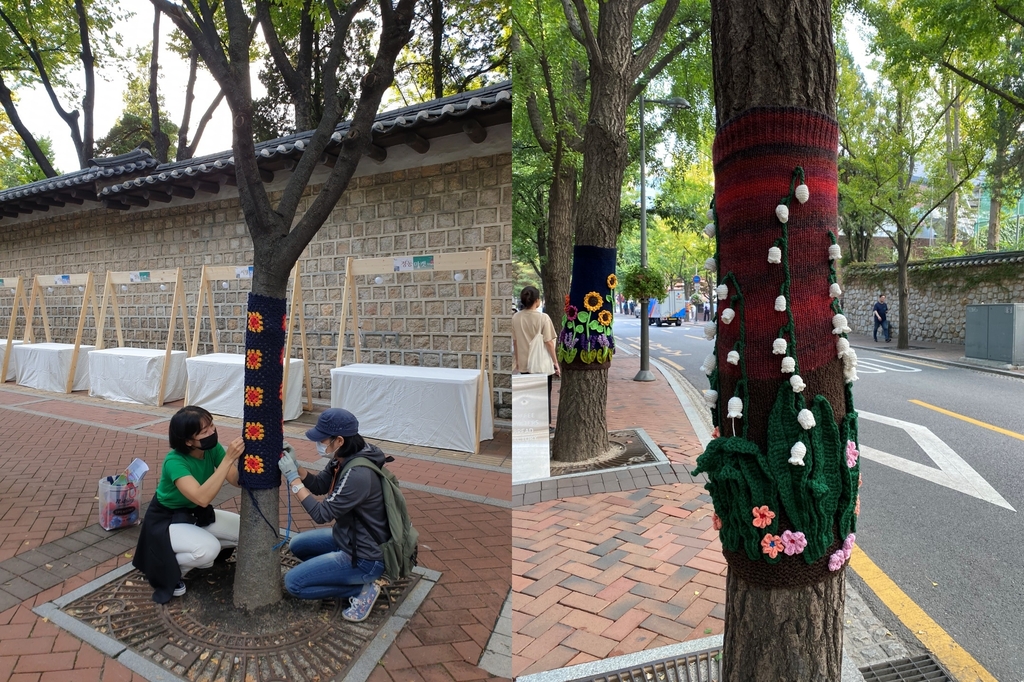 서울 중구, 덕수궁 돌담길 가로수에 '알록달록 뜨개옷' 입혀