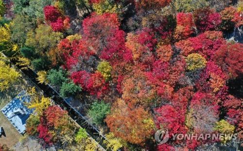 팔공산 국립공원 지정 환경영향평가 추진…절차 본격화