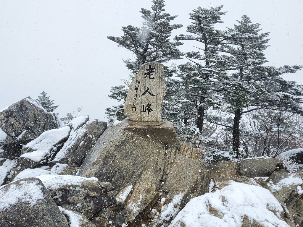 평창 오대산 국립공원 노인봉 첫눈…5㎝ 쌓여