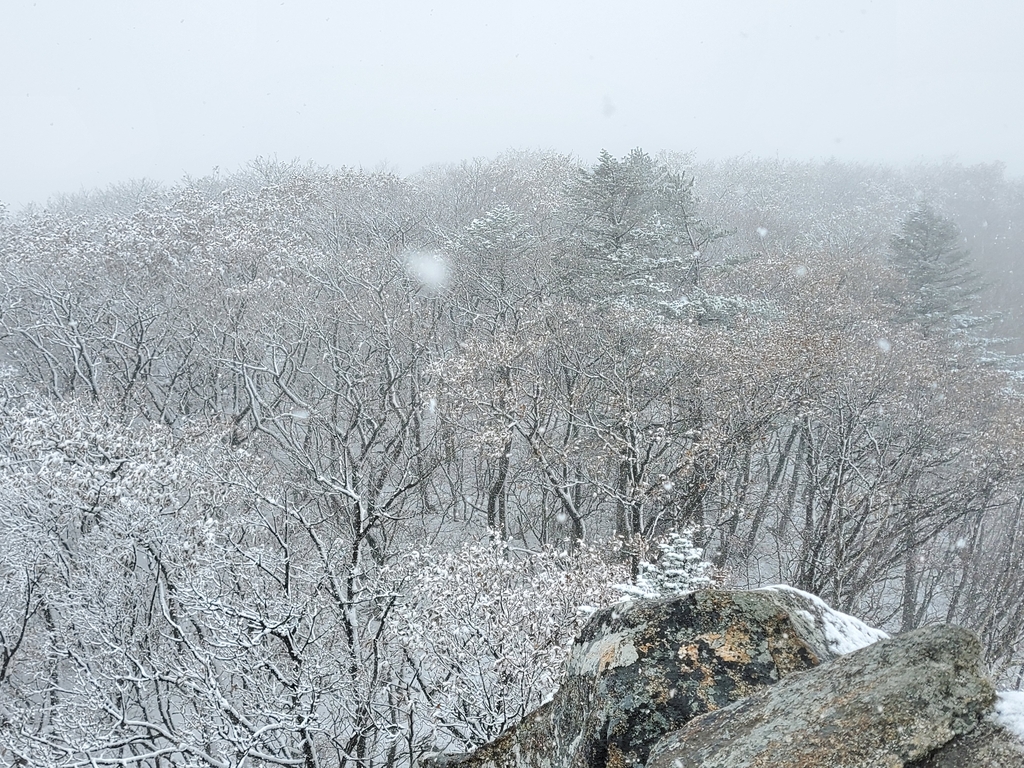 평창 오대산 국립공원 노인봉 첫눈…5㎝ 쌓여