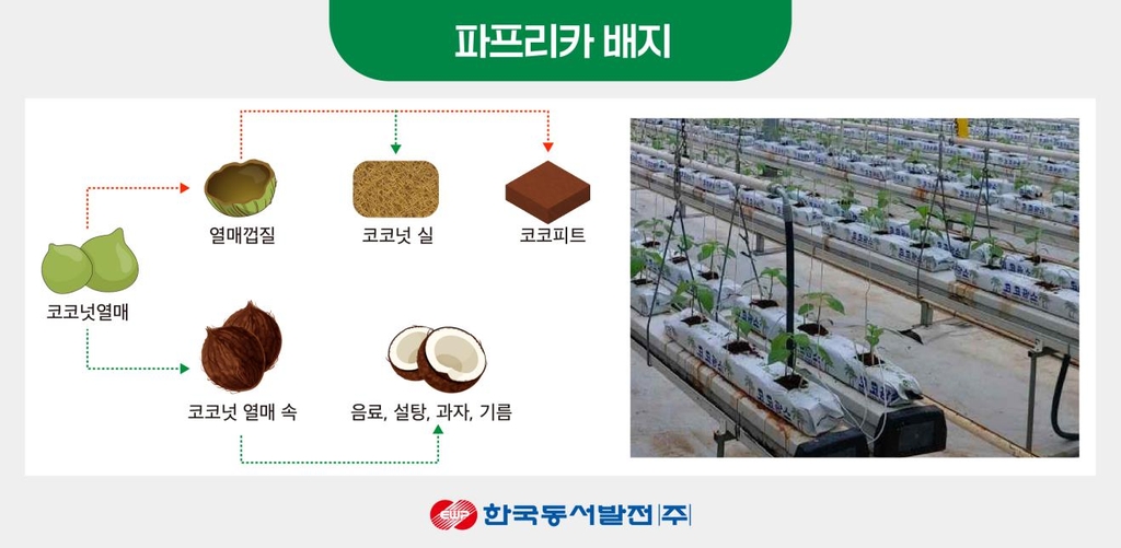 동서발전, 폐파프리카 배지로 바이오연료 개발 첫 추진