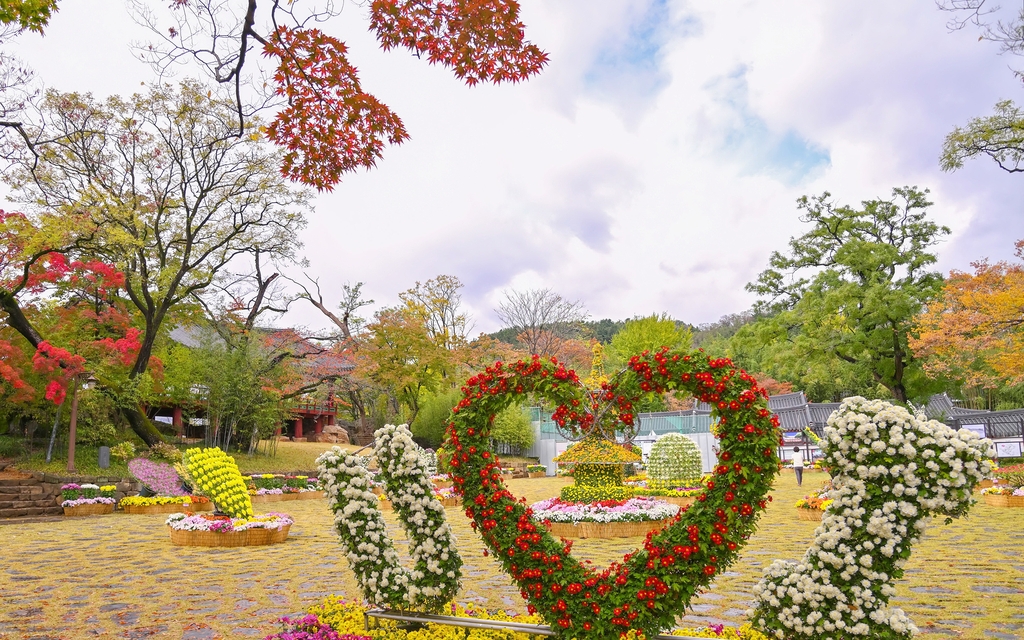 단풍 물든 관동팔경 삼척 죽서루 국화 향기 가득