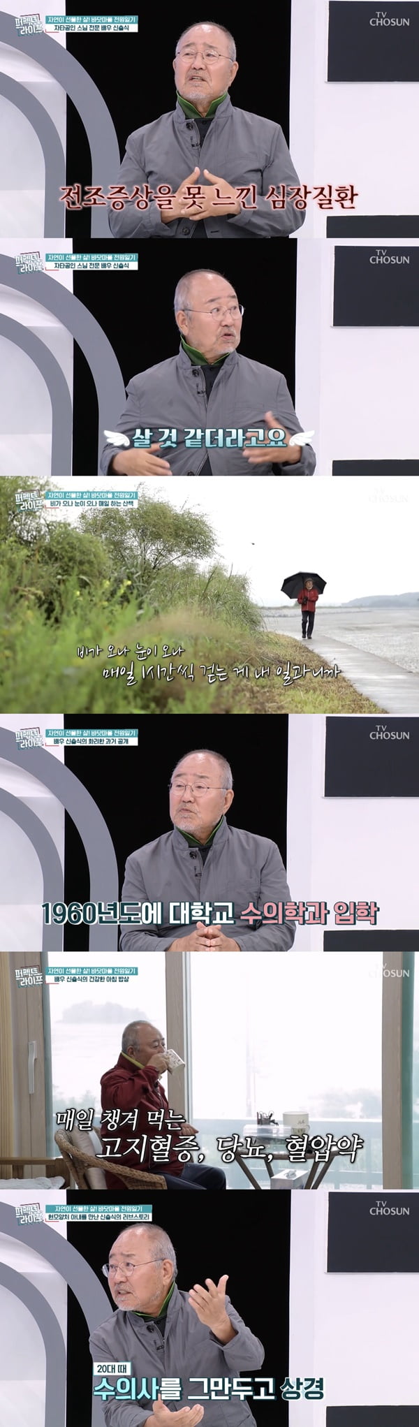 /사진=TV조선 '퍼펙트 라이프' 방송 화면 캡처