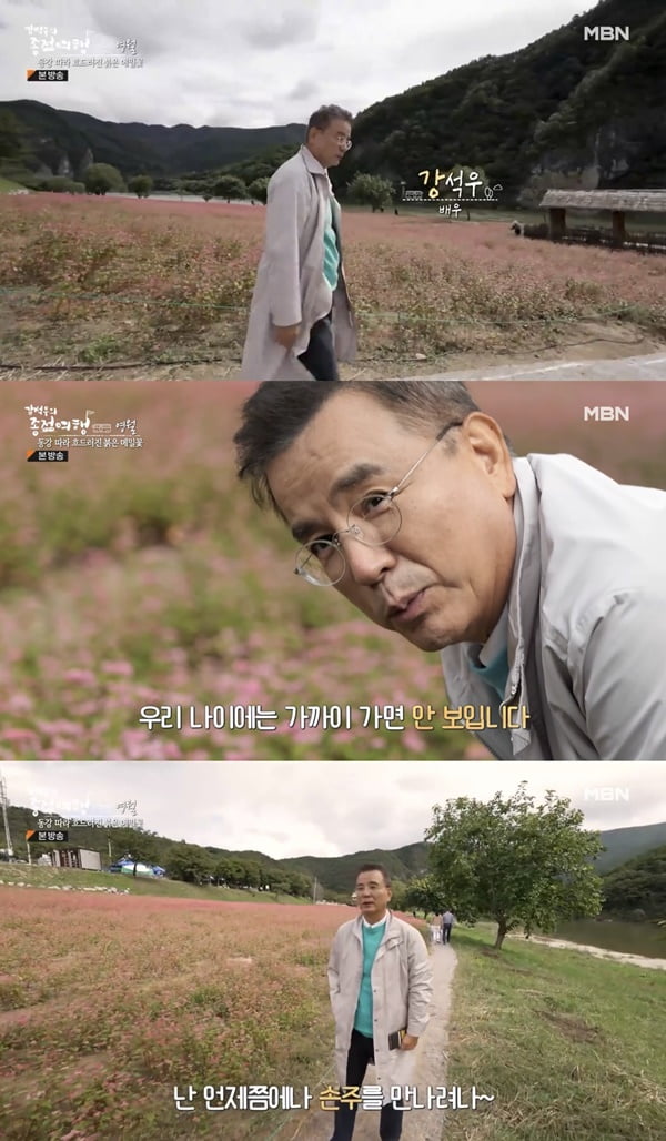 /사진=MBN '강석우의 종점여행' 방송 화면 캡처