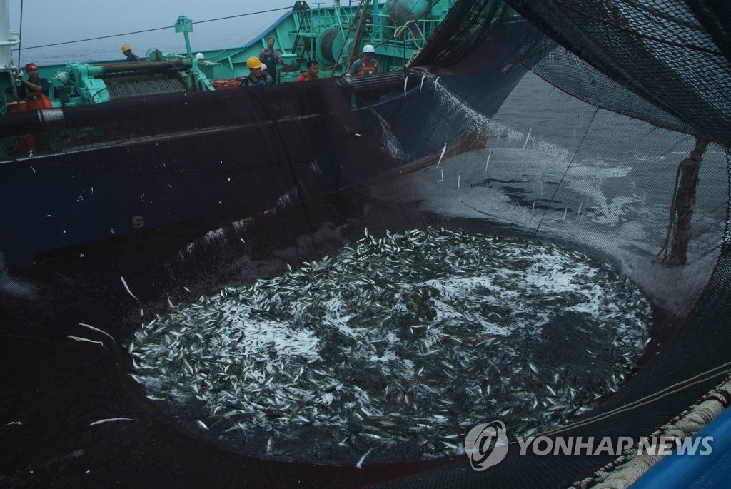 삼중 파고 맞은 부산 대형선망…3곳 법정관리, 감척도 검토