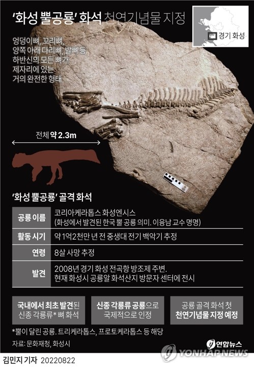 국내서 처음 발견된 '화성 뿔공룡' 화석, 천연기념물 지정