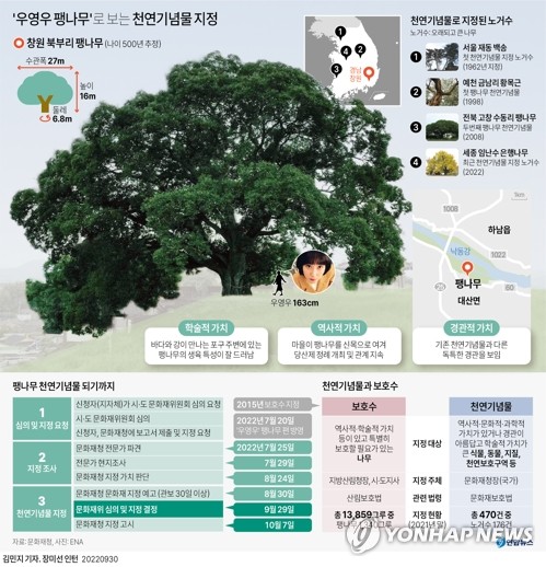 천연기념물 된 '우영우 팽나무'…배우 정규수, 명예 이장 위촉