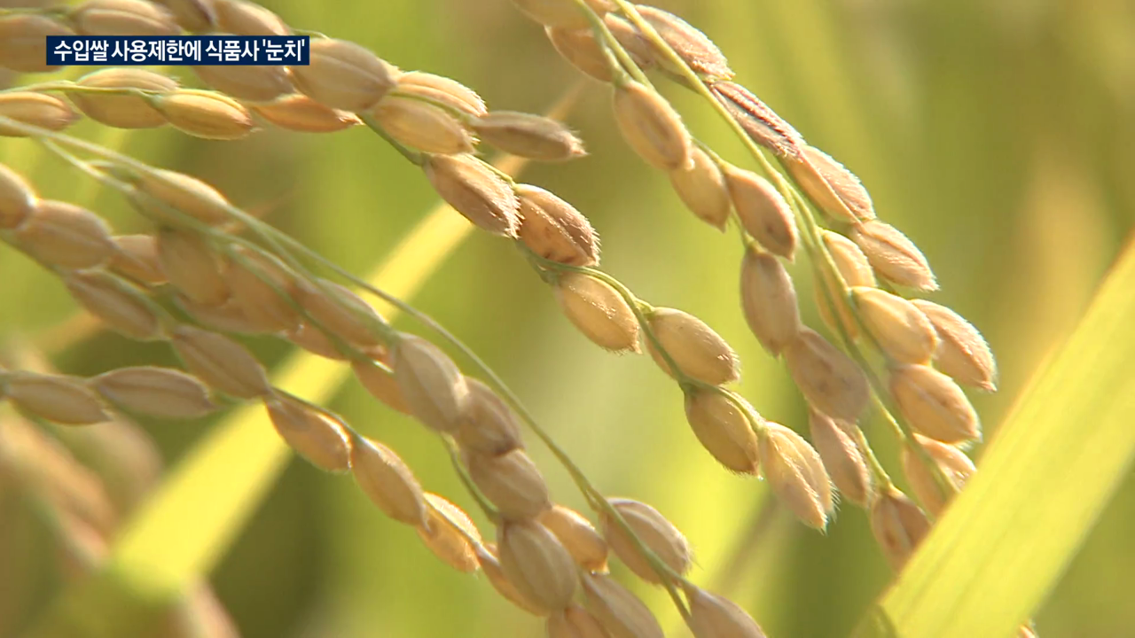 "비싼 국산쌀 늘리고, 가격은 내려라"…"모순된 지적"