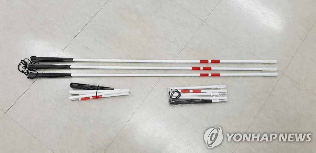 제43회 '흰 지팡이의 날'…서울 시각장애인 재활복지대회