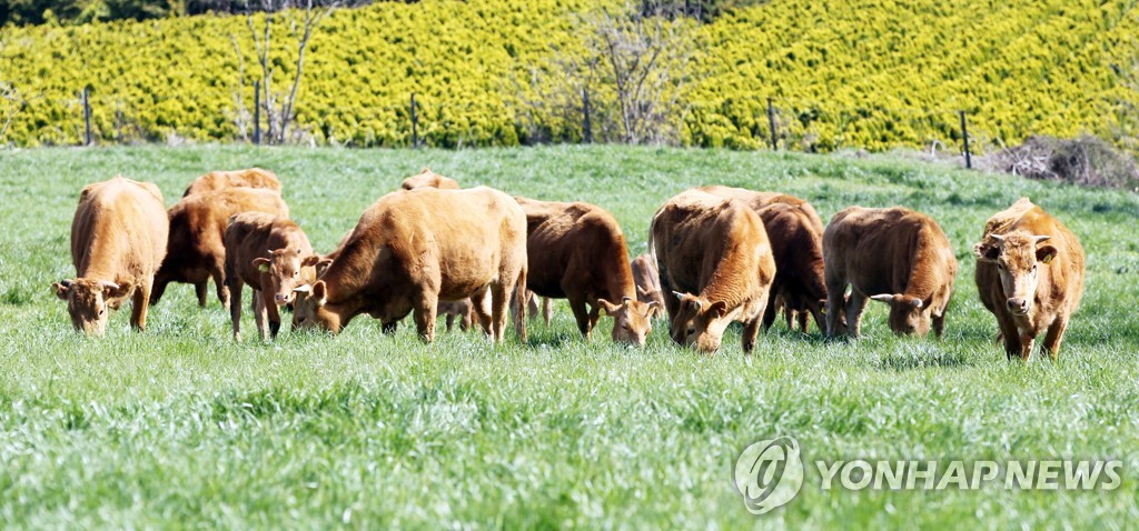 저메탄 조사료 종합유통센터, 전남 함평에 건립