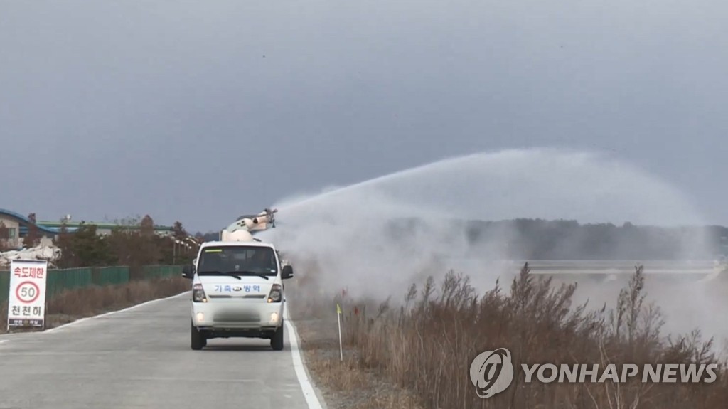 예천 육용종계 농장서 AI 항원…예천 가금농장서만 두번째