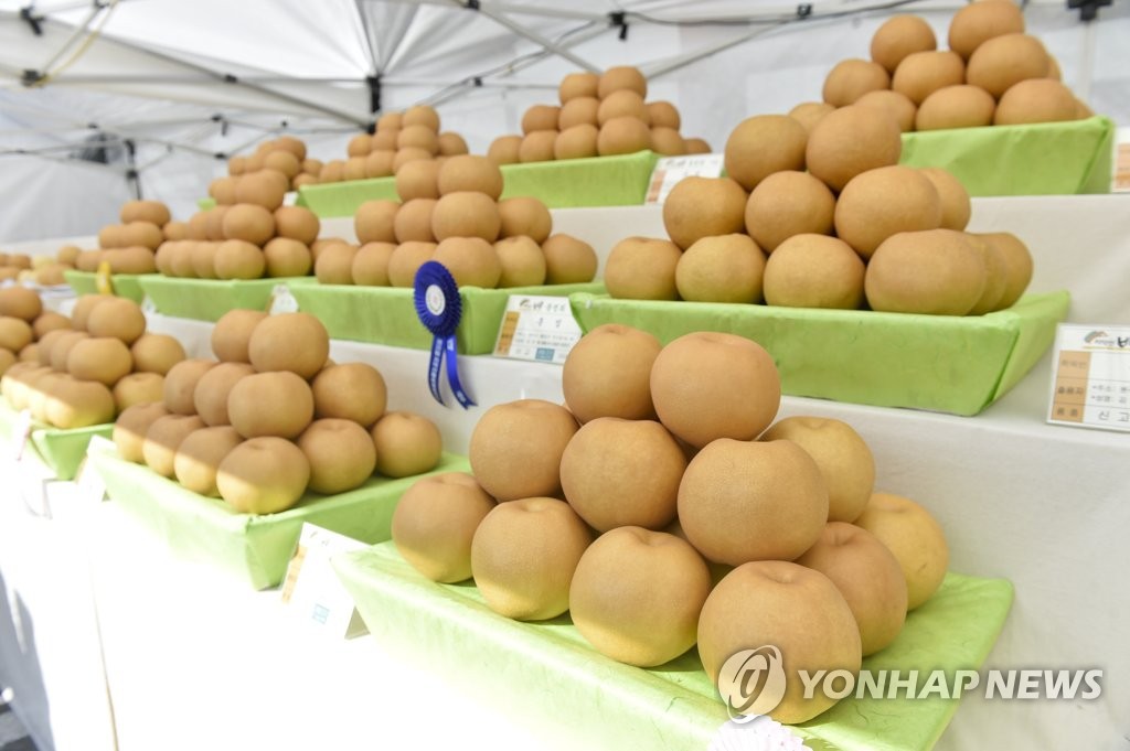 원주서 제1회 고구마 축제·제23회 치악산 배 특판행사 개최