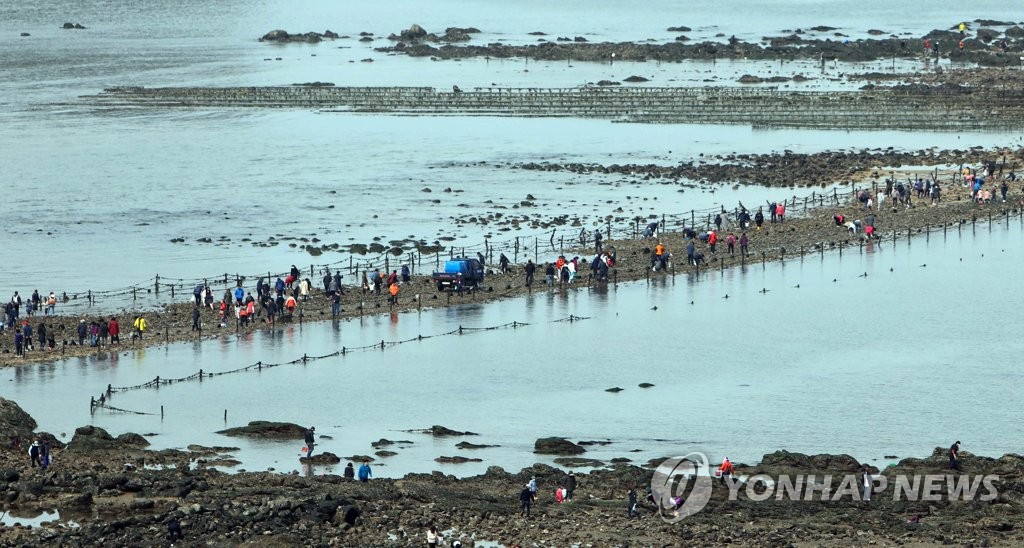 보령 무창포서 7일부터 '한국판 모세 기적' 신비의 바닷길 축제