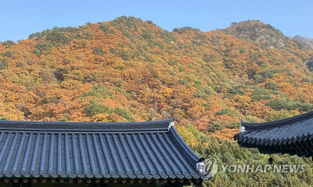 횡성군, 동치악권 관광개발 박차…치악산 탐방로 개설 추진