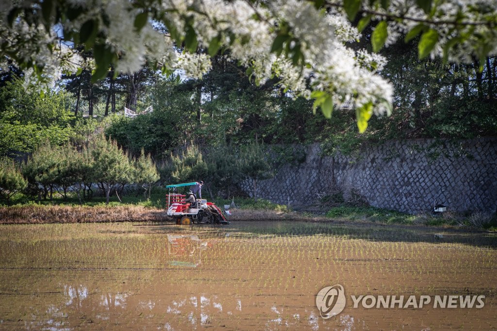 "북한 평양 산림지 회복 전망…중앙집권적 식량통제 지속될 듯"(종합)