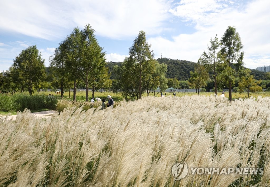 태화강국가정원 자연주의 정원 조성 기념 국제학술토론회 열려