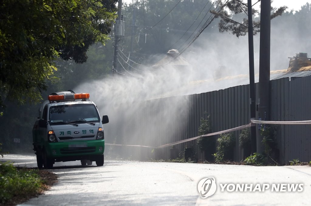 중수본 "김포·파주 아프리카돼지열병 추가 사례 없어"