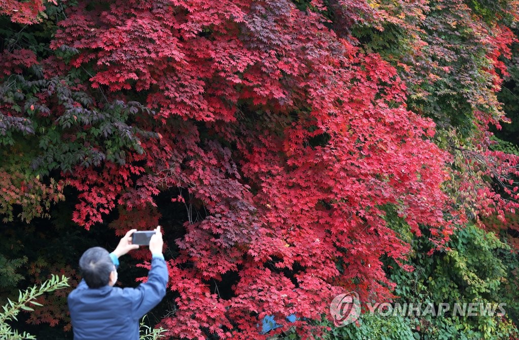 입장객 기준 인기관광지는 에버랜드·강구항·엑스포해양공원