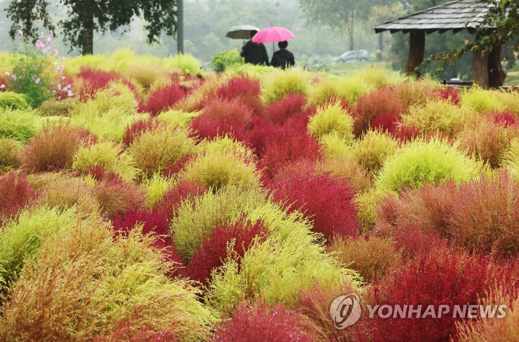 한글날 전국 가을비…낮 최고 14∼21도 '쌀쌀'