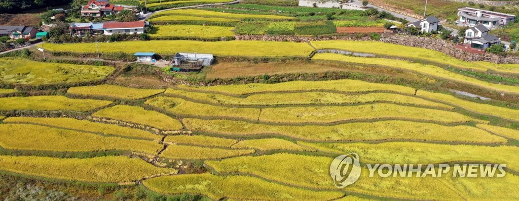 기재차관 "적정 쌀값 위해 충분히 노력"…매입 의무화엔 난색(종합)