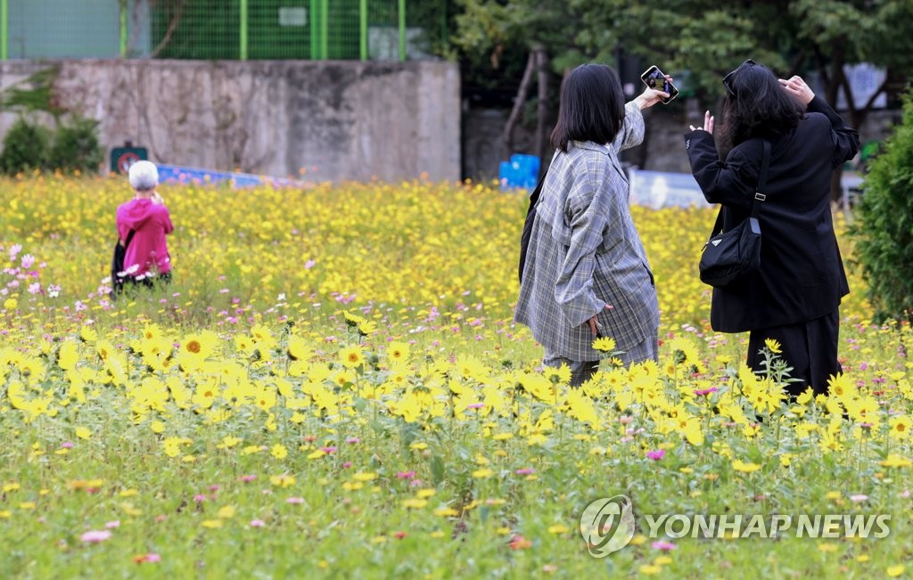 한 세기 막아놨던 송현동 광장에 몰려든 시민들…"예쁘다"