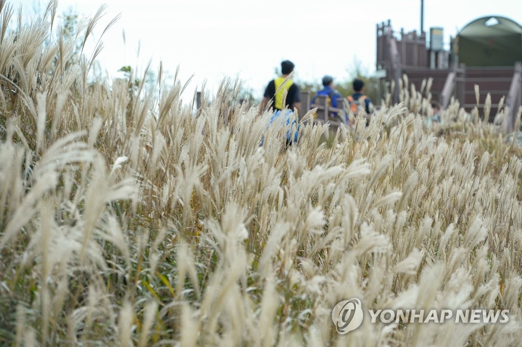 대전·세종·충남 구름 많음…낮 최고 24도