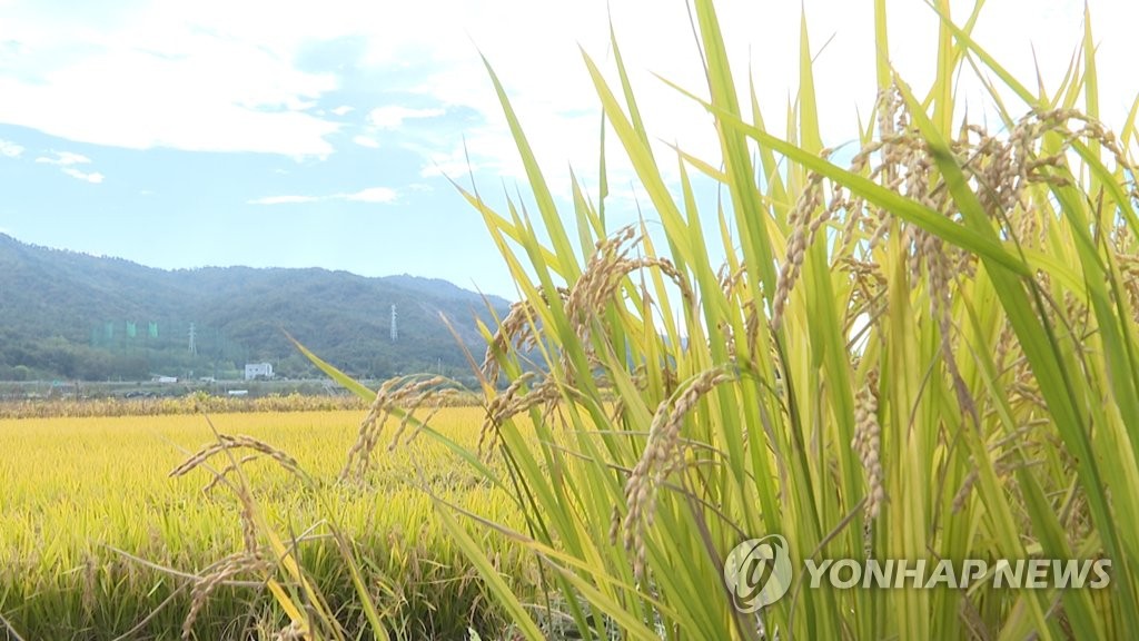 충남도, 이모작 농가에 50억원 지원…1㏊당 100만원