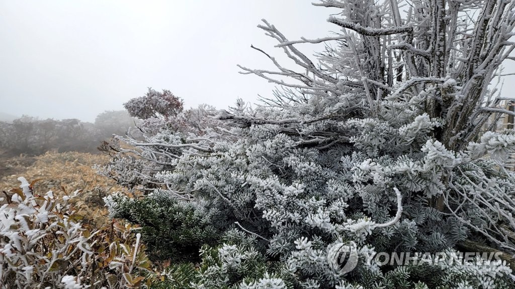 한라산 올해 첫 상고대 '활짝'…가을 속 겨울 정취