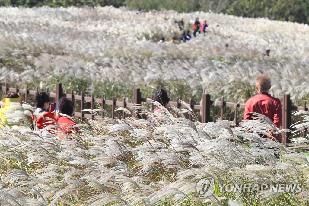 제주 흐리고 산지에 약한 비…낮 최고 24도