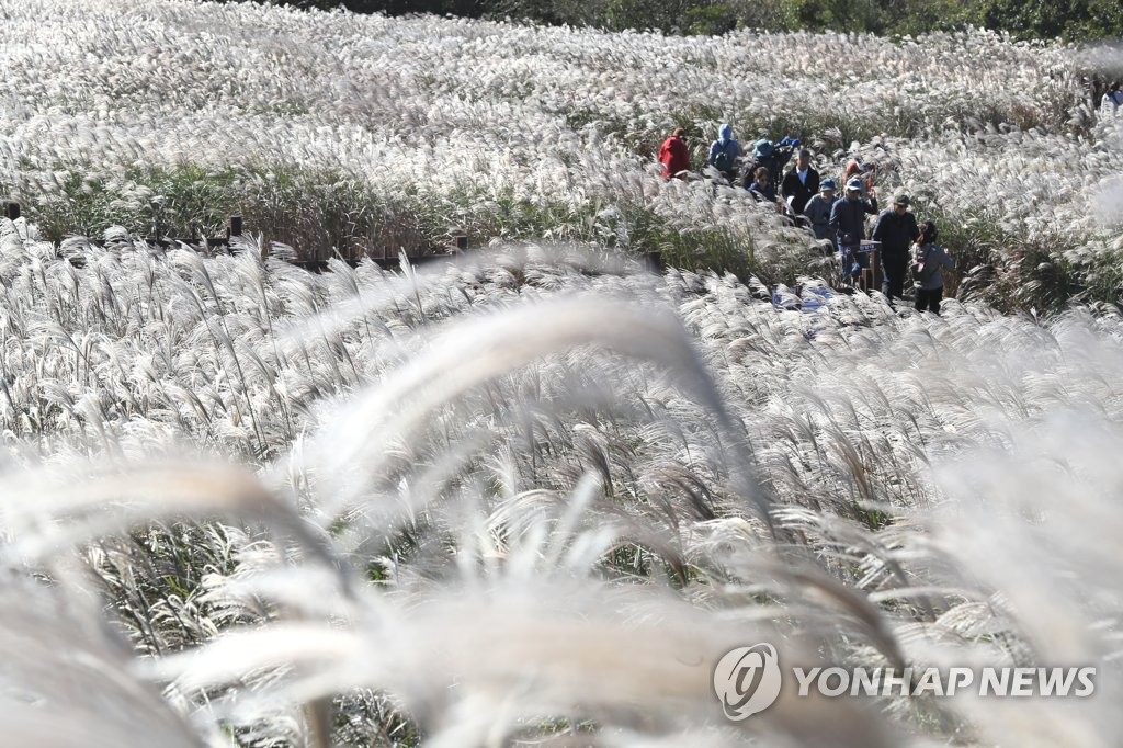 제주 흐린 후 맑아져…"낮과 밤 기온차 유의"