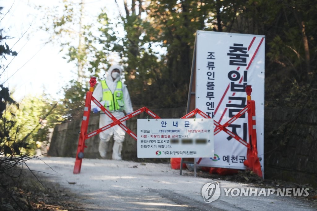 "예천서 조류인플루엔자는 처음"…10㎞ 이내 이동 제한에 '썰렁'