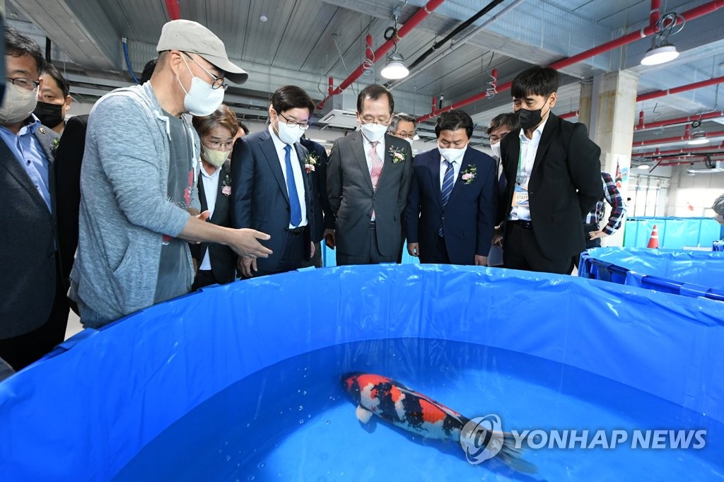 관상어 클러스터 시흥 '아쿠아펫랜드' 완공…내년 4월 개장