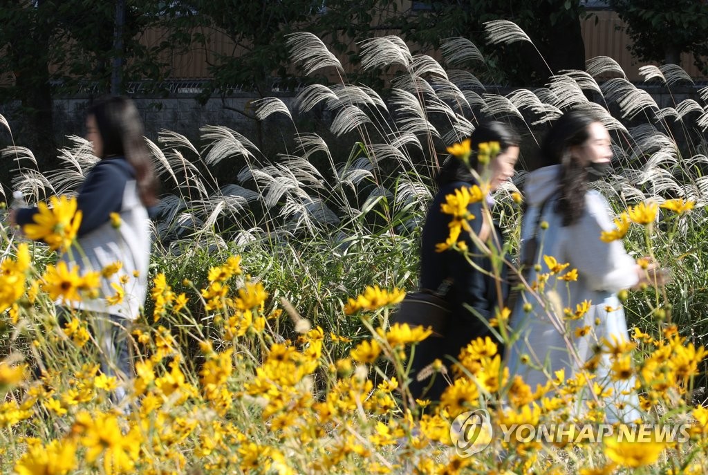 오늘 낮 17~22도 어제보다 2도 정도 올라…추위 누그러져