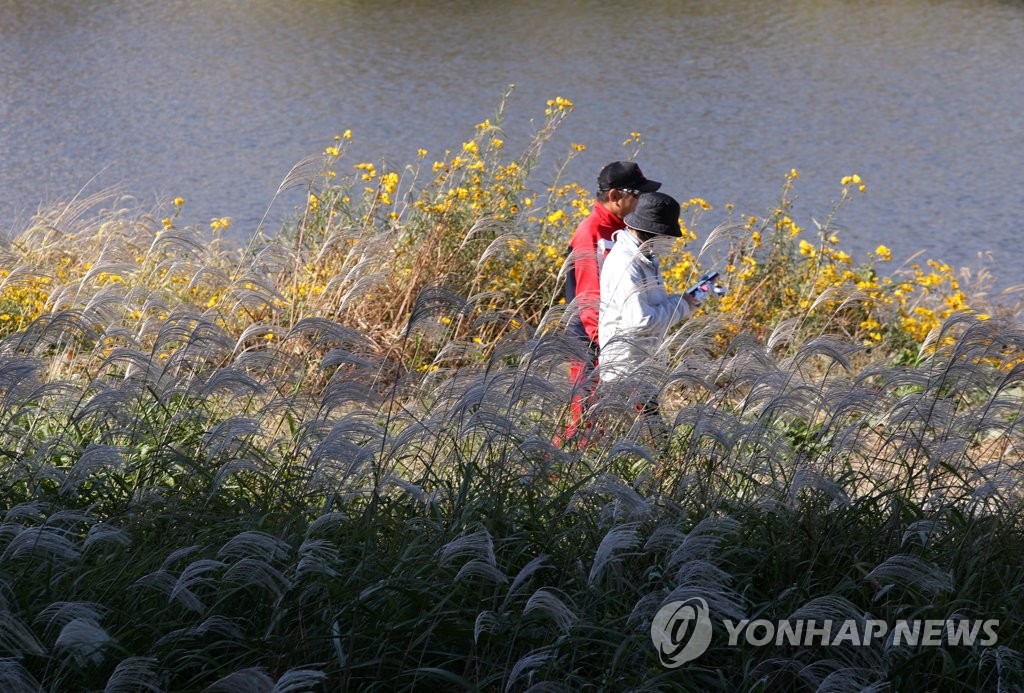 내일 인천·경기남부 미세먼지 '나쁨'…기온 평년 수준