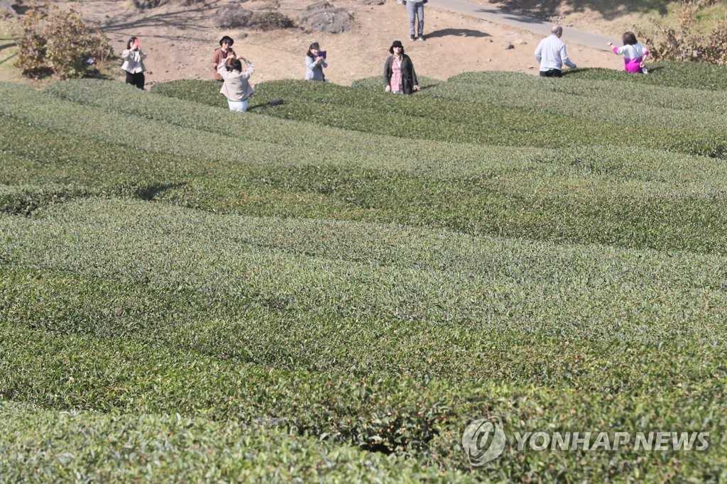 제주 대체로 흐리고 낮 최고 20∼21도