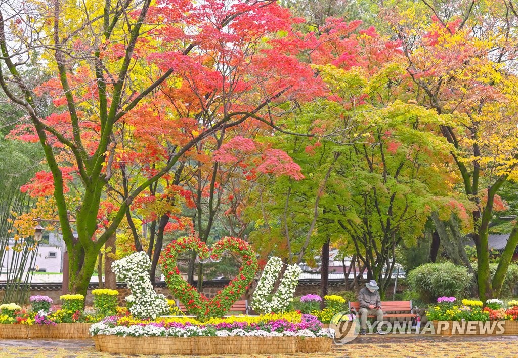 단풍 물든 관동팔경 삼척 죽서루 국화 향기 가득