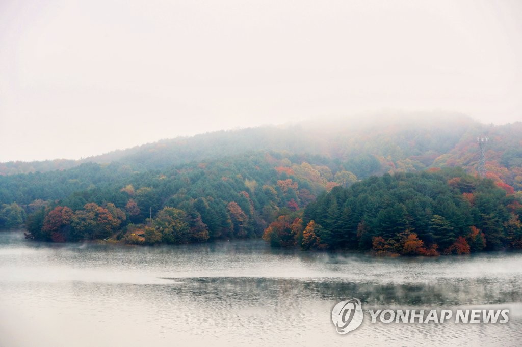 강원 낮 최고 18도…출근길 짙은 안개 조심