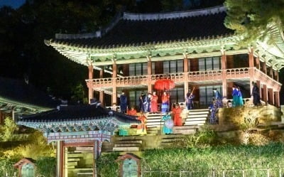창덕궁에 나타난 멧돼지 '발칵'…'달빛기행' 행사 당일취소