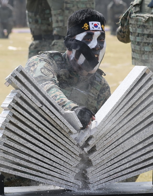 제1공수특전여단 및 각 군 태권도 시범단이 격파 시범을 보이고 있는 모습. / 사진=연합뉴스